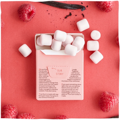 True Gum MIX Smaków - 8 szt. naturalna guma do żucia, bez cukry (z Danii)