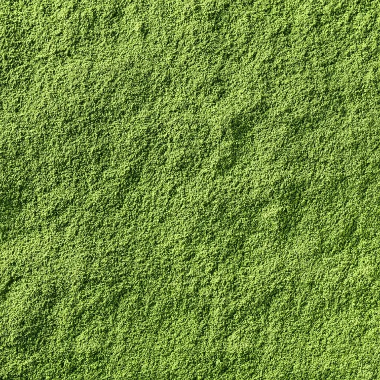Sproud Matcha z Grochu - napój roślinny, wysokobiałkowy, wegański (Szwecja)