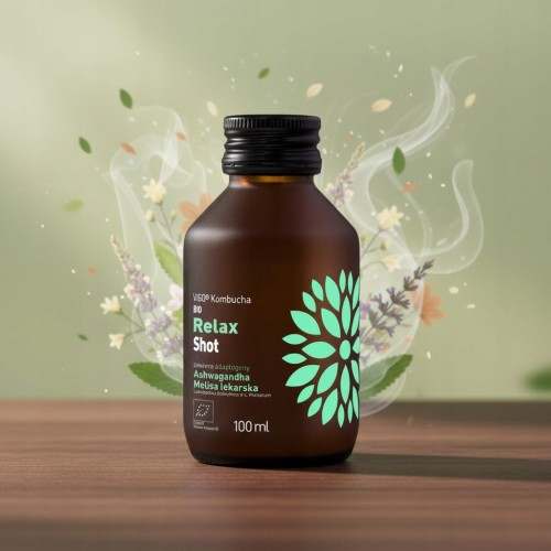 Vigo Kombucha Shot Relax - BIO, ashwagandha + melisa, probiotyk (100ml)