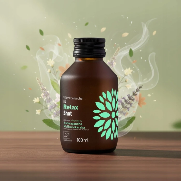 Vigo Kombucha Shot Relax - BIO, ashwagandha + melisa, probiotyk (100ml)