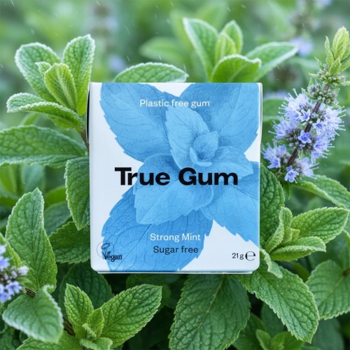 True Gum Strong Mint - Naturalna guma do żucia, miętowa, bez cukru (Dania)