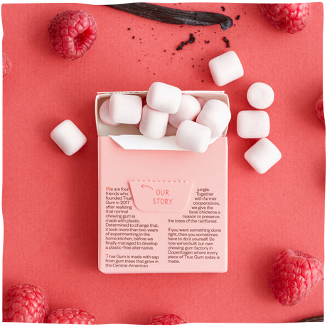 True Gum Raspberry&Vanilia - Naturalna guma do żucia, bez cukry (z Danii)